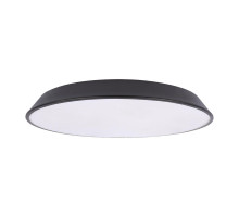 Потолочный светильник Loft IT Brim 10226 Black