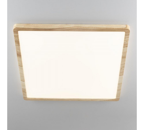 Потолочный светильник Citilux Бейсик CL738K502V