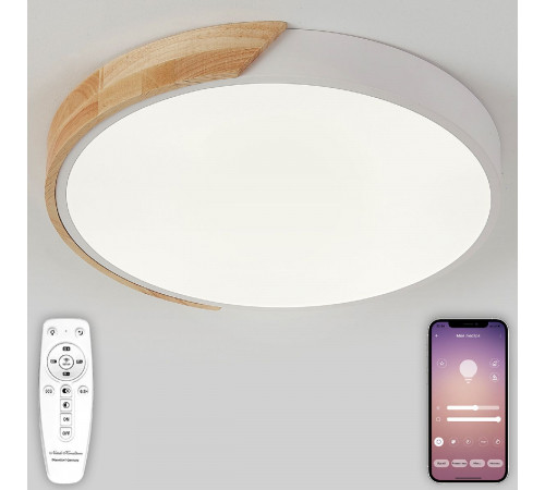 Потолочный светильник Natali Kovaltseva Scandinavian LED LAMPS 81181 Потолочный светильник Natali Kovaltseva Scandinavian LED LAMPS 81181