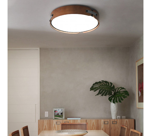 Потолочный светильник ImperiumLoft Range 101959-26 Потолочный светильник ImperiumLoft Range 101959-26