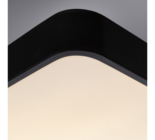 Потолочный светильник Arte Lamp A2663PL-1BK Потолочный светильник Arte Lamp A2663PL-1BK