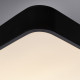 Потолочный светильник Arte Lamp A2663PL-1BK