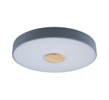 Потолочный светильник Loft IT AXEL 10003/24 Grey