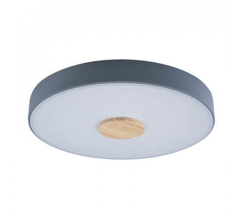 Потолочный светильник Loft IT AXEL 10003/24 Grey