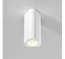 Потолочный светильник Elektrostandard Trio 25110/LED 4690389205842 a067063