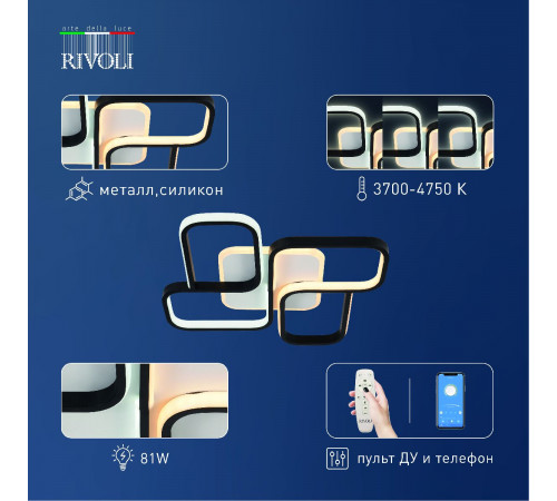 Потолочный светильник Rivoli Lydia 6104-101 Б0059012 Потолочный светильник Rivoli Lydia 6104-101 Б0059012