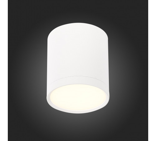 Потолочный светильник ST Luce Rene ST113.532.05 Потолочный светильник ST Luce Rene ST113.532.05