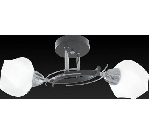 Потолочный светильник Toplight Lia TL7380X-02BC Потолочный светильник Toplight Lia TL7380X-02BC