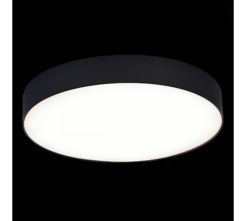 Потолочный светильник ST Luce ST606.442.48 Потолочный светильник ST Luce ST606.442.48