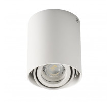 Потолочный светильник Kanlux Toleo DTO50-W 26111
