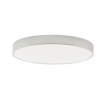 Потолочный светильник Zortes Tortty ZRS.02565.72