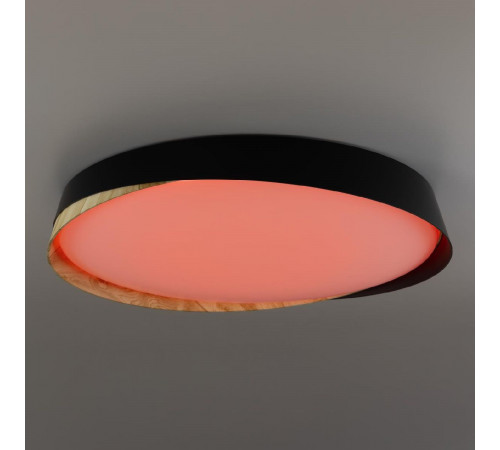 Потолочный светильник Citilux Bonny CL754451G Потолочный светильник Citilux Bonny CL754451G