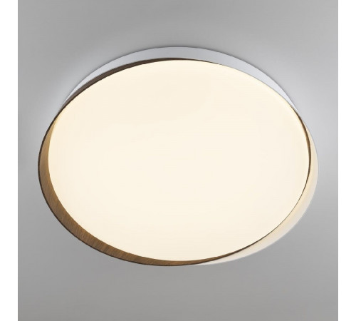 Потолочный светильник Citilux Bonny CL754450G Потолочный светильник Citilux Bonny CL754450G