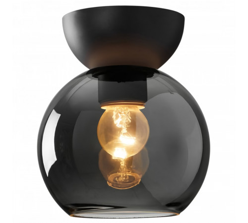Потолочный светильник iLamp Mono C6079-1 BK+SM Потолочный светильник iLamp Mono C6079-1 BK+SM