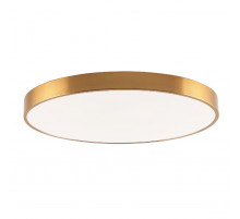 Потолочный светильник Zortes Tortty ZRS.02566.96