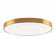 Потолочный светильник Zortes Tortty ZRS.02566.96