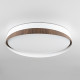 Потолочный светильник Citilux Bonny CL754350G