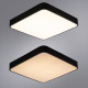 Потолочный светильник Arte Lamp A2663PL-1BK