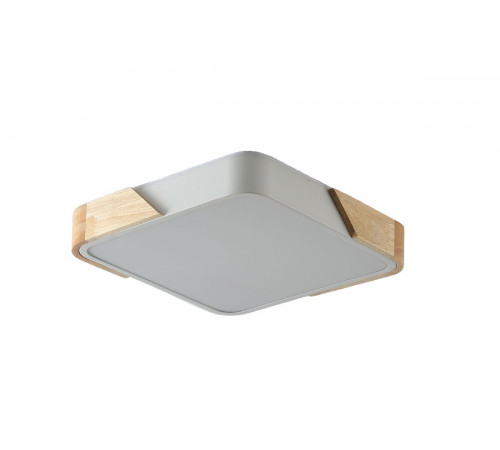 Потолочный светильник Zortes Alberro ZRS.01285.60 Потолочный светильник Zortes Alberro ZRS.01285.60