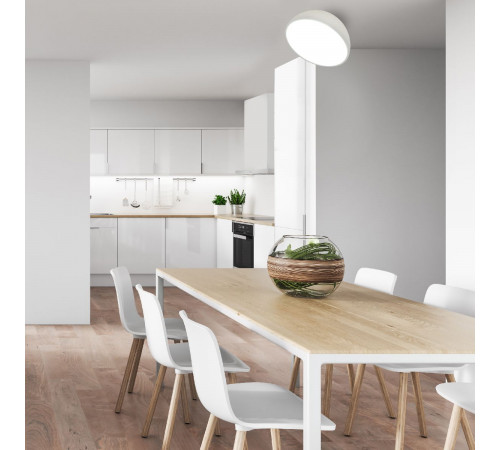 Потолочный светильник Escada 20025SMA/01LED WH