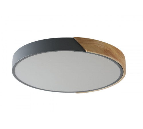 Потолочный светильник Zortes Alberro ZRS.01280.48 Потолочный светильник Zortes Alberro ZRS.01280.48
