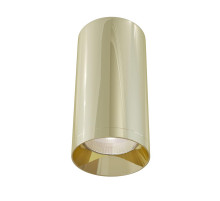 Потолочный светильник Maytoni Alfa C010CL-01G