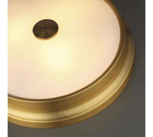 Потолочный светильник Odeon Light 4824/4C Потолочный светильник Odeon Light 4824/4C