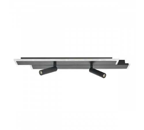 Потолочный светильник Escada 20047led 20047SMA/02LED BK Потолочный светильник Escada 20047led 20047SMA/02LED BK