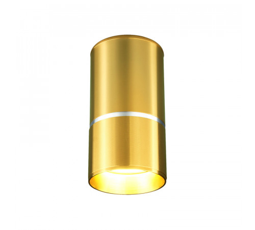 Потолочный светильник Elektrostandard DLN106 GU10 золото 4690389148613