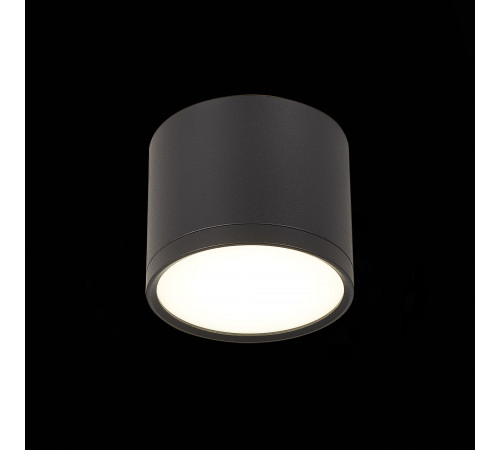 Потолочный светильник ST Luce Rene ST113.442.09 Потолочный светильник ST Luce Rene ST113.442.09