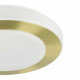 Потолочный светильник Eglo Led Carpi 900369