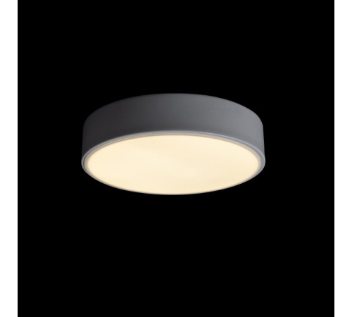 Потолочный светильник Loft IT AXEL 10002/12 White Потолочный светильник Loft IT AXEL 10002/12 White