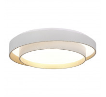 Потолочный светильник Evoluce Crosby SLE6009-502-01