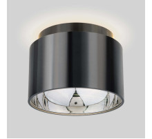 Потолочный светильник Elektrostandard Charlie 1069 GX53 GR черный жемчуг 4690389167805