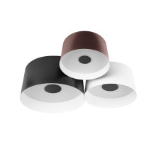 Потолочный светильник Loft IT Duo 10360/3