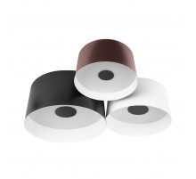 Потолочный светильник Loft IT Duo 10360/3