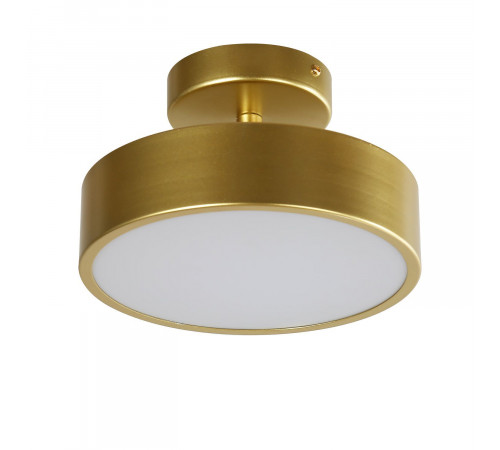 Потолочный светильник F-Promo Atma 3059-2P Потолочный светильник F-Promo Atma 3059-2P