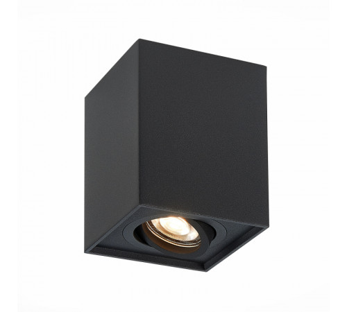 Потолочный светильник ST LUCE ST109.407.01 Потолочный светильник ST LUCE ST109.407.01