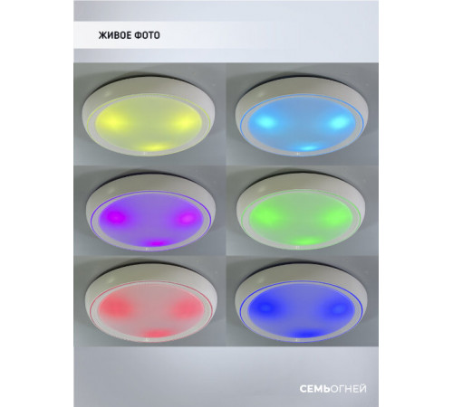 Потолочный светильник Seven Fires Санни 48019.50.90.77CL-RGB Потолочный светильник Seven Fires Санни 48019.50.90.77CL-RGB