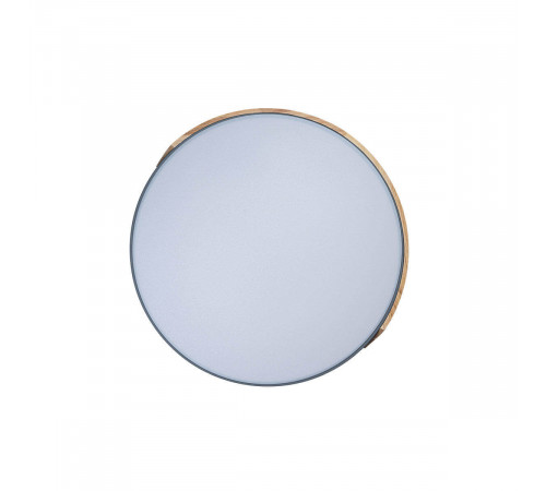 Потолочный светильник Loft IT AXEL 10004/36 Grey