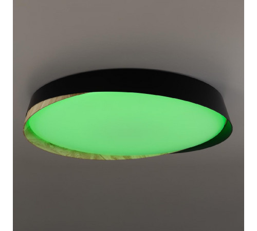 Потолочный светильник Citilux Bonny CL754451G Потолочный светильник Citilux Bonny CL754451G