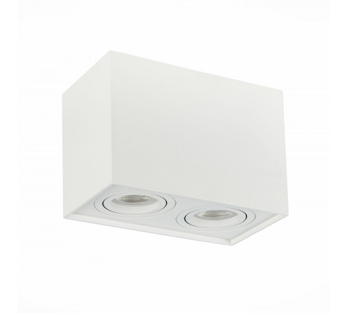 Потолочный светильник ST LUCE ST109.507.02 Потолочный светильник ST LUCE ST109.507.02