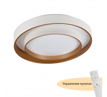 Потолочный светильник Myfar Rhea MR9161-CL