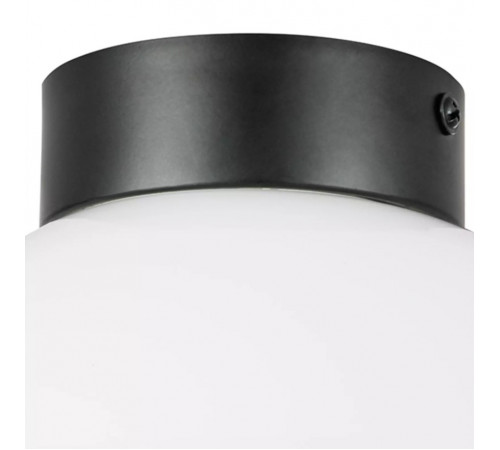 Потолочный светильник Lightstar Globo 812117 Потолочный светильник Lightstar Globo 812117