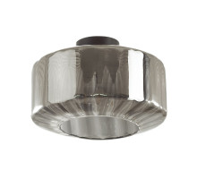 Потолочный светильник Odeon Light BINGA 4746/1C