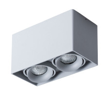 Потолочный светильник Arte Lamp Pictor A5654PL-2GY