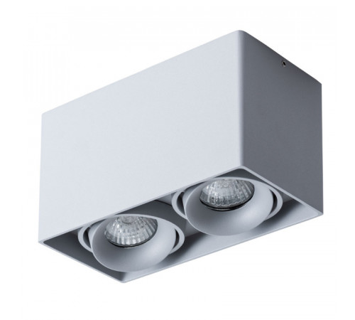 Потолочный светильник Arte Lamp Pictor A5654PL-2GY Потолочный светильник Arte Lamp Pictor A5654PL-2GY