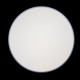 Потолочный светильник Loft IT AXEL 10001/36 Grey