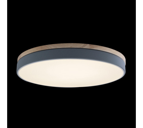 Потолочный светильник Loft IT AXEL 10001/36 Grey Потолочный светильник Loft IT AXEL 10001/36 Grey