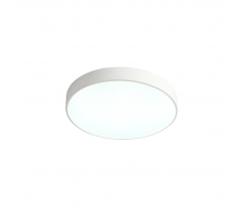Потолочный светильник Zortes Tortty ZRS.02564.48
